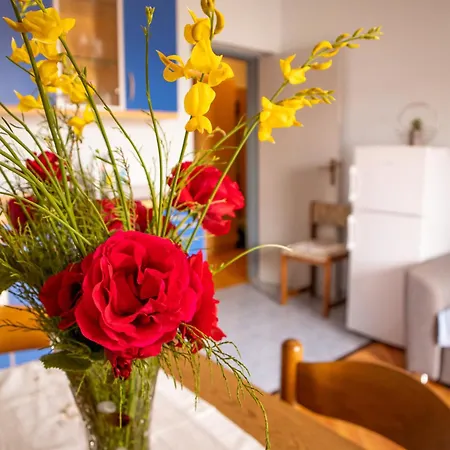 Marija Guest house