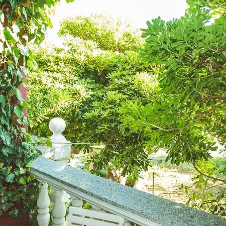 Guest house Marija Lopar